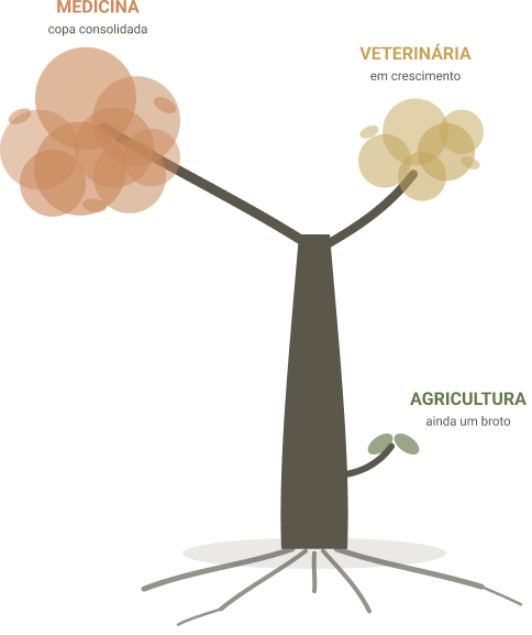Ilustração da árvore BioFAO: Medicina com a copa consolidada, Veterinária em crescimento e Agricultura ainda um broto